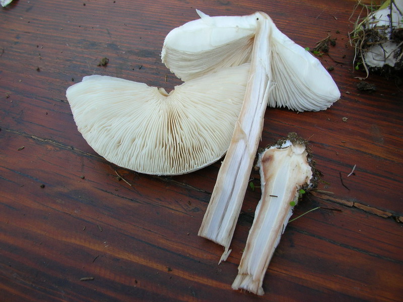 .2 soggetti da determinare